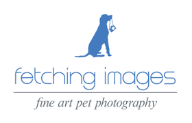 Fetching Images Fine Art Photography - Greenville, SC