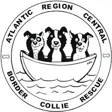 Atlantic Region Central Border Collie Rescue