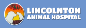 Lincolnton Animal Hospital, P.A - Lincolnton, NC