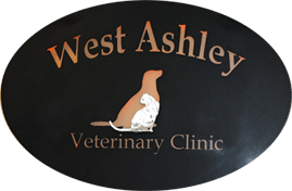 West Ashley Vet Clinic - Charleston, SC