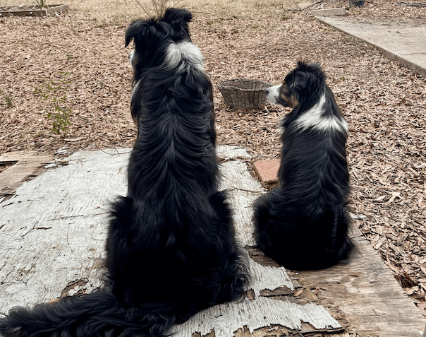 Carl & Friend