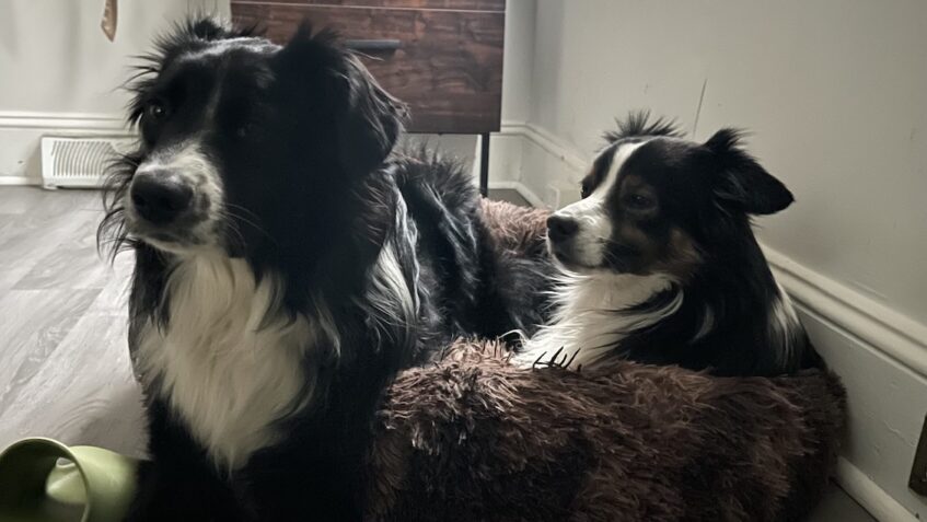 Carl & Friend